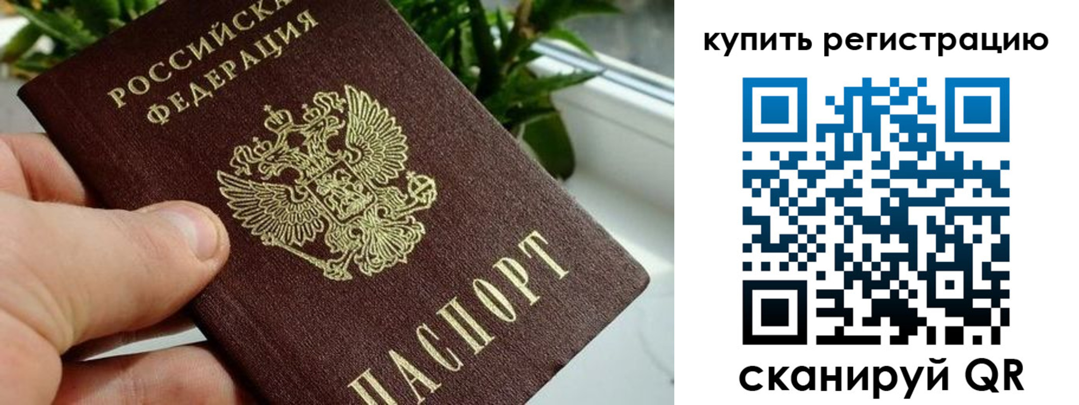 прописка гарантия в Химках