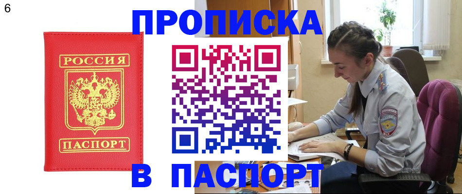 прописка гарантия в Химках